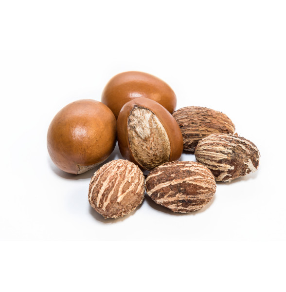 SHEA NUTS