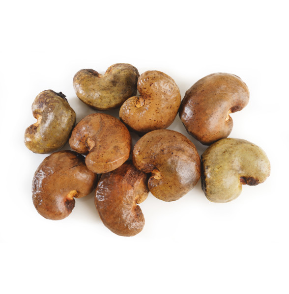 RAW CASHEW NUTS (Outturn 47) RAW CASHEW NUTS (Outturn 47)