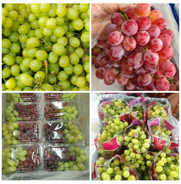 Fresh Grapes