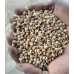 Robusta Coffee Beans - Grade 2 Robusta Coffee Beans - Grade 2