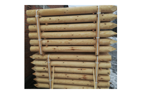 Rounded Pine Logs