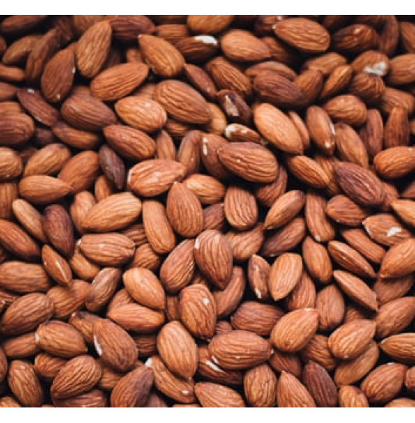Industrial Grade, Organic Almond Kernels