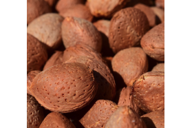 Sicilian Almonds with Shells