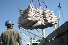 SUGAR ICUMSA 45 EXPORT CIF