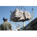 SUGAR ICUMSA 45 EXPORT CIF SUGAR ICUMSA 45 EXPORT CIF