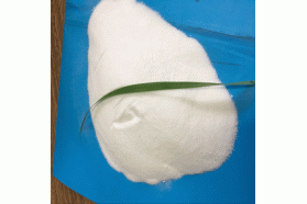 Sodium Metabisulfite Na2S2O5