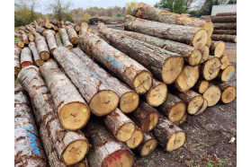 White Oak Logs