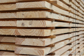 Kiln-dried C16 Timber - 45x120x2400 mm
